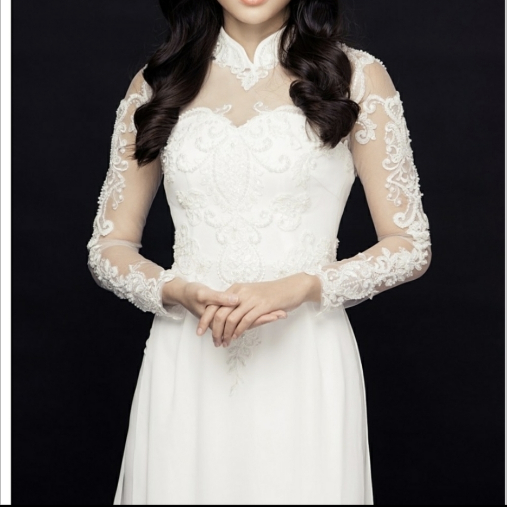 Modern Vietnamese Wedding Ao Dai Dress